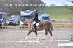 BPP_9963