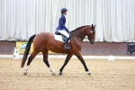 SBM_001910