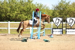 SBM_000788