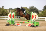 SBM_03541