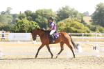 SBM_002893