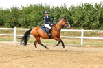 SBM_002804