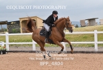 BPP_4804
