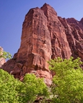 Zion 2  12 x 18