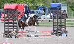BPP_6801