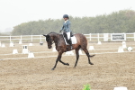 SBM_003891