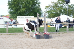 SBM_16819