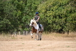 WJ6_9197