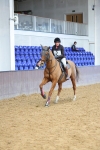 SBM_001447