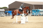 Class 4 - 1.05m Amateur Championship Qualifier portfolio