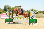 SBM_006206