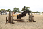 SBM_05616