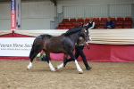 SBM_17416
