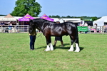 SBM_10015
