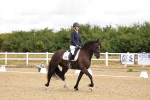 SBM_003313