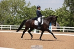 Cls 39 - Freestyle PSG+Young Rider portfolio
