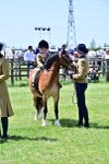 SBM_05946