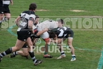 Rugby_Guernsey v Sutton  Epsom-24
