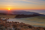 Sunrise on Wears Hill, Abbotsbury, Dorset