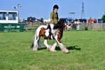 SBM_11618