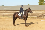 SBM_000569