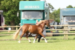 SBM_00681