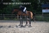 BPP_3856