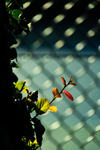 Autumn Light and Dark
