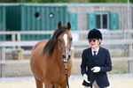 Bishop's Court Farm - Dressage 25-07-25 portfolio