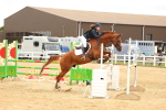 SBM_010078