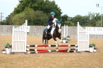 J3a - Clear Round - Mixed Height portfolio