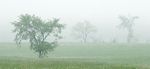 BIGGERSCAPES portfolio