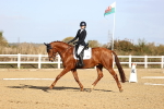 SBM_009047