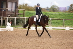 Unaffiliated Dressage portfolio