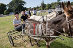 Donkey Derby_2016-29
