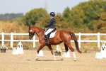 SBM_017613