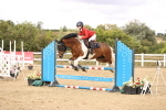 SBM_008498