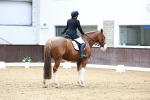 SBM_003250