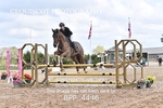 BPP_4446