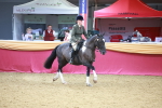 SBM_06151