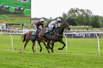 220626-Race 4-Velvet Rhythm-9200
