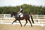 SBM_003393