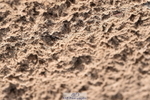 231015A-130332-08188