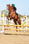 SBM_000851