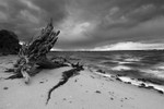 Brownsea Island Storm
