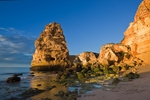 Golden Cliffs