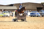 SBM_003287