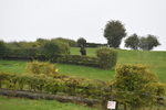 WJ5_7051