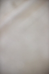 SBM_006699