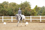 SBM_002664